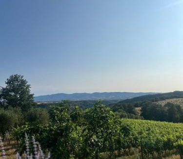 Soriano nel Cimino Bed & Breakfast | Una Scelta, more than just a room