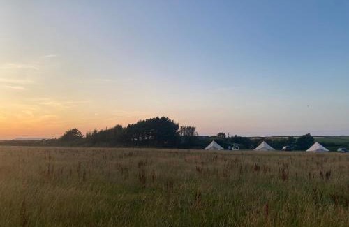 Hartland Other | Unfurnished Bell Tent close to SWC path