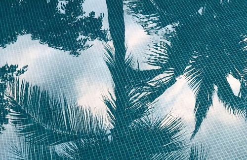 Campo de Golf Fonatur Apartment | Unique 1BR Suite in San Jose del Cabo