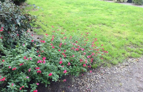 Segrie-Fontaine Apartment | Unique apartment with wifi in Swiss Normandy