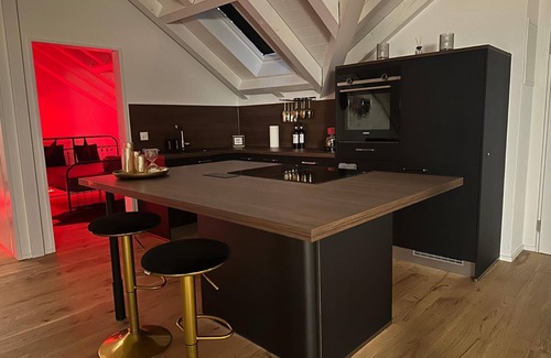 Winterthur Apartment | UNIQUE APARTMENT FOR ADULTS