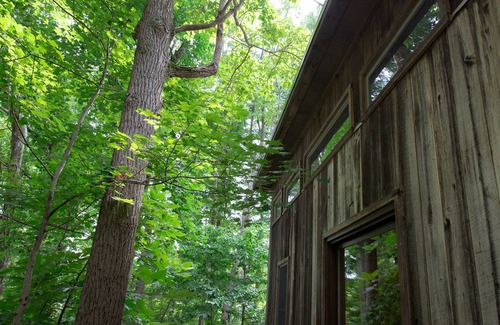 Logan Cottage | Unique Cottage Nestled Within Tall Oaks - SLEEPS 6!
