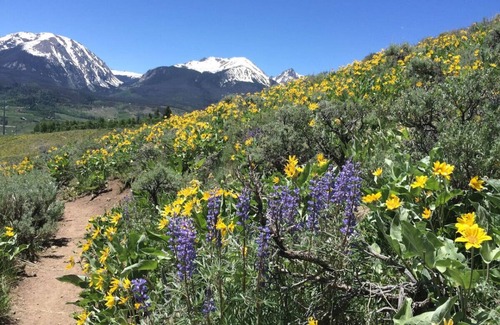Como Apartment | Unique Historic Mountain Cabin In Beautiful Como