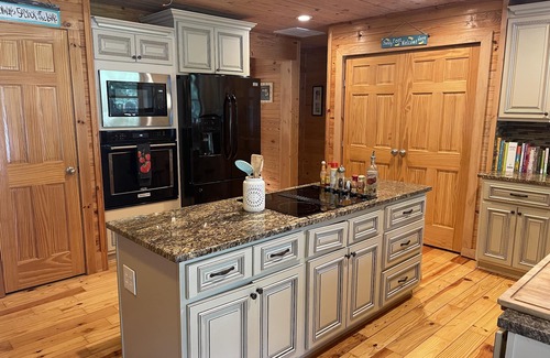 Townville Cabin | Unique lakefront 3 BR cabin directly on Lake Hartwell! 20 min drive to Clemson!