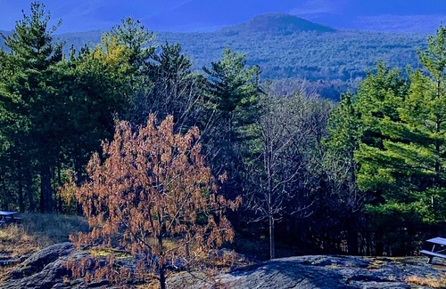 Jay Cabin | Unique Mountain Resort on 2000 acre preserve next to Whiteface Skiing