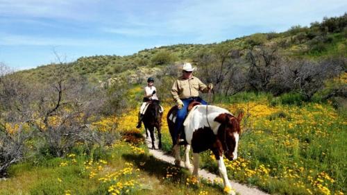Wickenburg House | Unique Rental Nestled near the Prescott National Park and Located in Wickenburg, Arizona