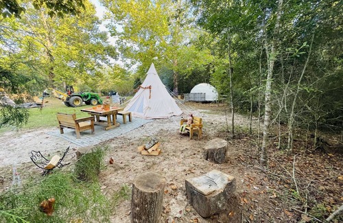 Tallahassee RV Rental | Unique SandyLand FARMSTAYS GLAMPING TeePee w/mini horses/cows/goats/chickens