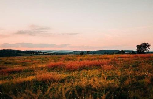 Cambra House | Unique Stay! Ricketts Chic Farmhouse Retreat with Stargazing Bubble Tent