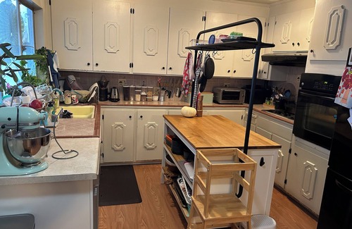 Broadway - Palmhaven House | Unique Willow Glen Hideaway, Walk to Shops & Restaurants, Family & Pet-Friendly