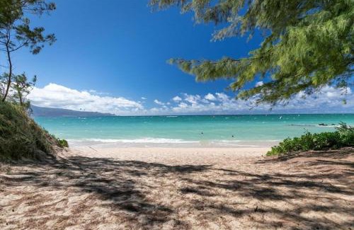 Wailuku Apartment | Unit 4 Maui Ohana Modern Studio