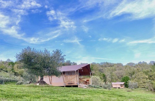 Scansano Apartment | Unit-Deluxe-Private Bathroom- Tenda Lusso Bagno Comet