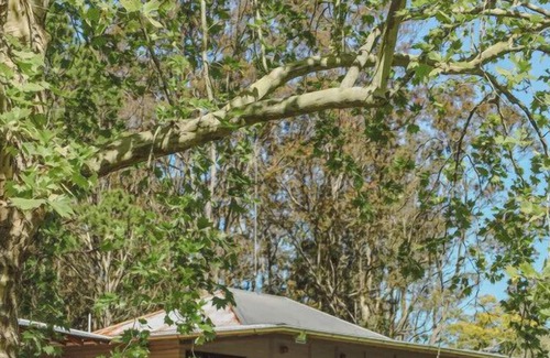 Lemon Tree Cabin | Unwind Escapes: Family Nature Lodge