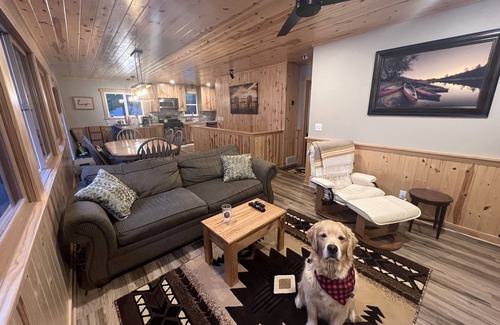 Breezy Point Cabin | Updated Cabin on Lake Ossawinnamakee w/Paddle Boards & Peddle Boat!