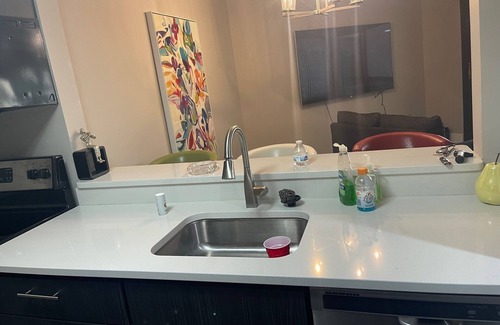 Detroit Apartment | Updated riverfront apartment with balcony and wonderful view of the river.