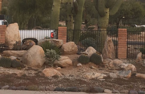 Oro Valley House | Upgraded 2,200 sq. ft. House on an acre