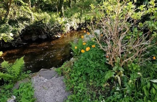 Solva House | Upside down house with stunning riverside garden in beautiful coastal Solva