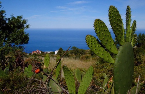 Tijarafe Resort | Urlaub bei Freunden