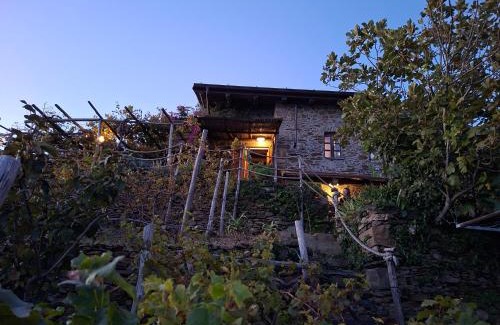 Riomaggiore Villa | UWA Refuge organic Vineyard 5terre UNESCO