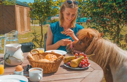 Westermarkelsdorf Apartment | Vacation apartment/apartment for 3 guests with 26m² in Fehmarn OT Westermarkelsdorf (116658)