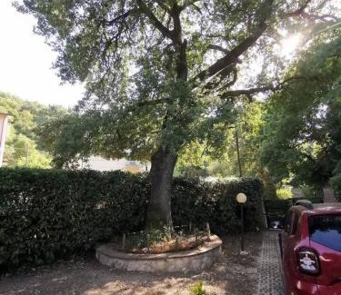 Narni Villa | Vacanza nel boschetto