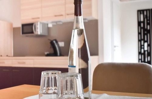 Klaffer am Hochficht Apartment | Vacation apartment/apartment for 3 guests with 31m² in Klaffer am Hochficht (148566)