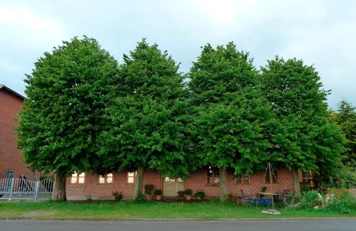 Fehmarn Apartment | Vacation apartment/apartment for 4 guests with 65m² in Fehmarn OT Altenteil (17743)