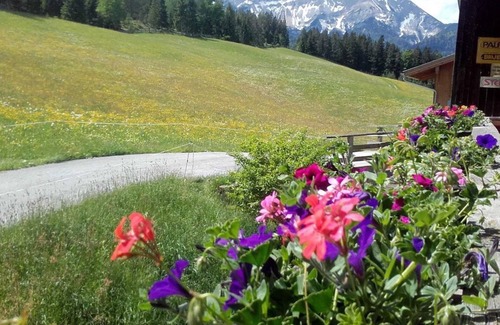 Steinberg am Rofan Apartment | Vacation apartment Enterhof - Farmhouse Enterhof