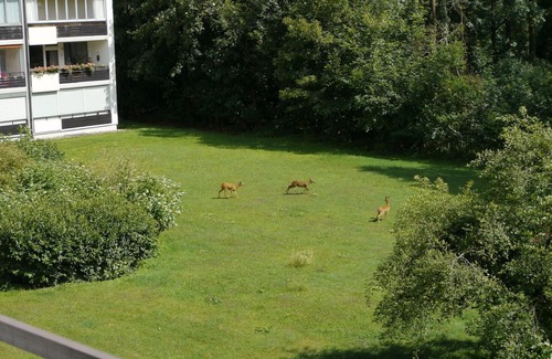 Prien am Chiemsee Apartment | Vacation apartment 5 min. from the lake with quiet garden view