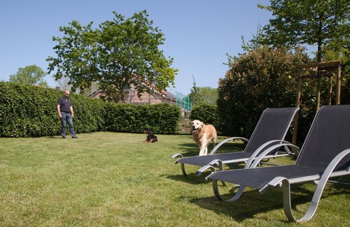 Westermarkelsdorf Apartment | Vacation apartment/apartment for 6 guests with 100m² in Westermarkelsdorf (51539)