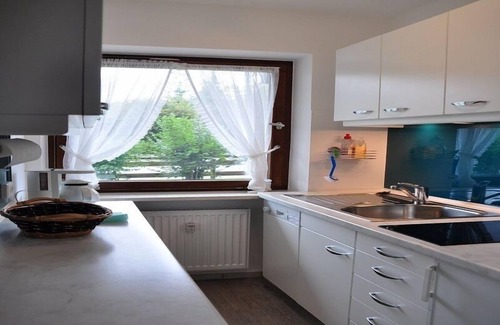 Entfelden Apartment | Vacation apartment 52sqm with sunny terrace and mountain view