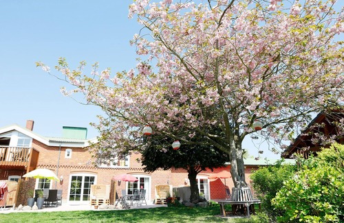 Lemkendorf Apartment | Vacation apartment/apartment for 5 guests with 65m² in Fehmarn (265784)