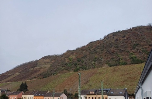 Leutesdorf Apartment | Vacation apartment on the Rhine
