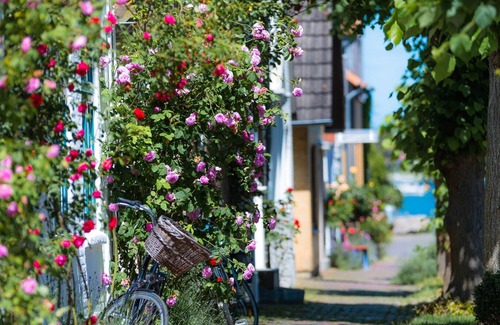 Olpenitz Apartment | Vacation apartment "Schleiblick" directly on the water, between the Schlei and the Baltic Sea