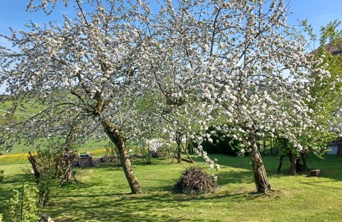 Innernzell Apartment | Vacation apartment with garden and wifi