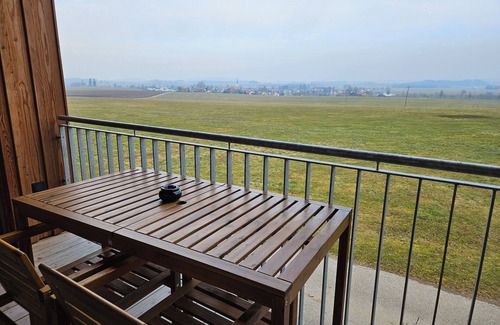 Unterallgau Apartment | Vacation at the Bummlerhof in upscale style, relaxation in the new solid wood house