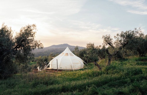 Roccastrada House | Vacation close to nature in fully equipped tents in the olive grove in Tuscany