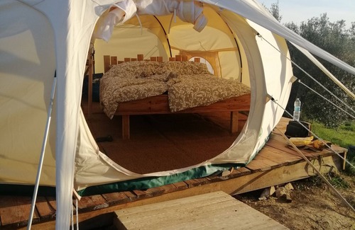Roccastrada House | Vacation close to nature in fully equipped tents in the olive grove in Tuscany