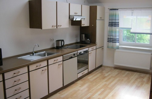 Waldmuenchen Apartment | Vacation farm with lots of animals. Alpacas, ponies, goats, donkeys, rabbits, chickens etc.