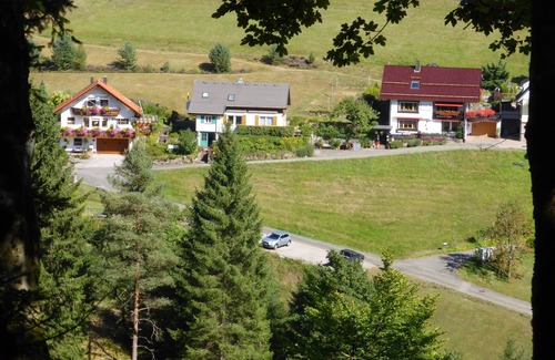 Baiersbronn Apartment | Vacation home Schenk Wohlfühl Fe-Wo. -TALBLICK- uniquely quiet south-facing location