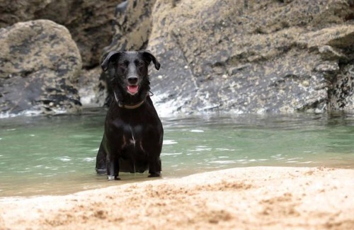 Constantine Bay House | Vacation home Trevose estate in Wadebridge - Padstow - 9 persons, 5 bedrooms
