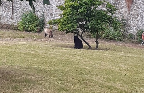 Le Faou House | Vacation home Aulne Maritime -Presqu'île de Crozon Le Faou Bzh