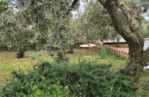 Ardea House | Vacation Home 'Casa Vacanze Giulienso' with Pool, Terrace & Wi-Fi