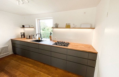Orth House | Vacation home for 6 guests with 110m² in Fehmarn OT Orth (160166)