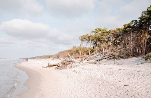 Ostseebad Ahrenshoop House | Vacation home for 6 guests with 120m² in Ahrenshoop (164704)