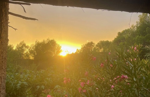 Gareoult Ski Chalet | Vacation home in Garéoult, a picturesque village in the south of France