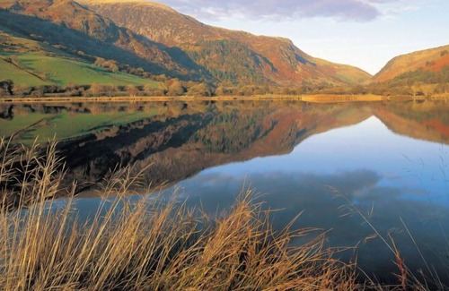 Machynlleth House | Vacation home Pa in Machynlleth - 4 persons, 2 bedrooms