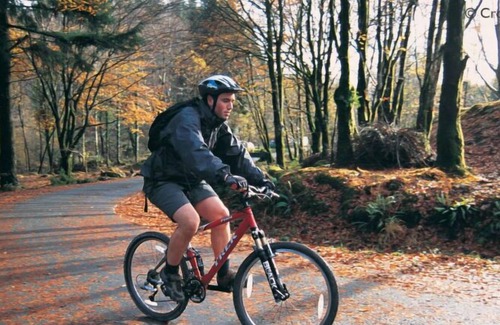 Machynlleth House | Vacation home Pa in Machynlleth - 4 persons, 2 bedrooms