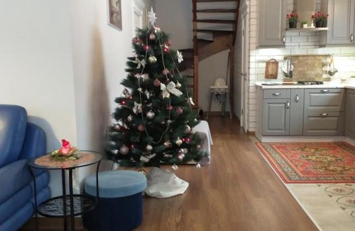 Pushkinskiye Gory House | Vacation House Petrovskoye 28