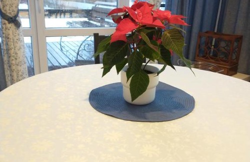 Pushkinskiye Gory House | Vacation House Petrovskoye 28