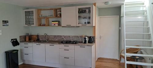 Bruinisse House | Vakantiehuis met sauna, omheinde tuin & nabij strand VP087